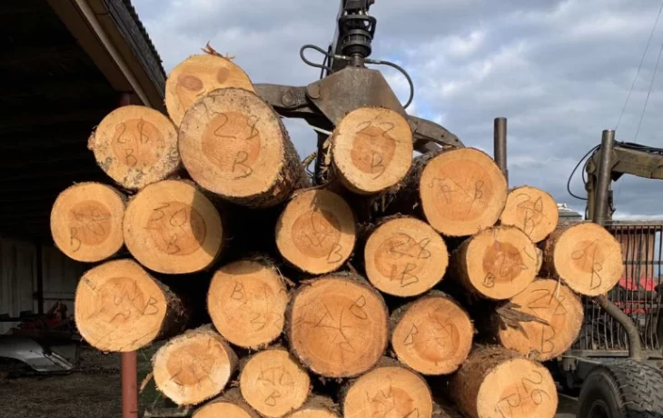 Хищение древесины